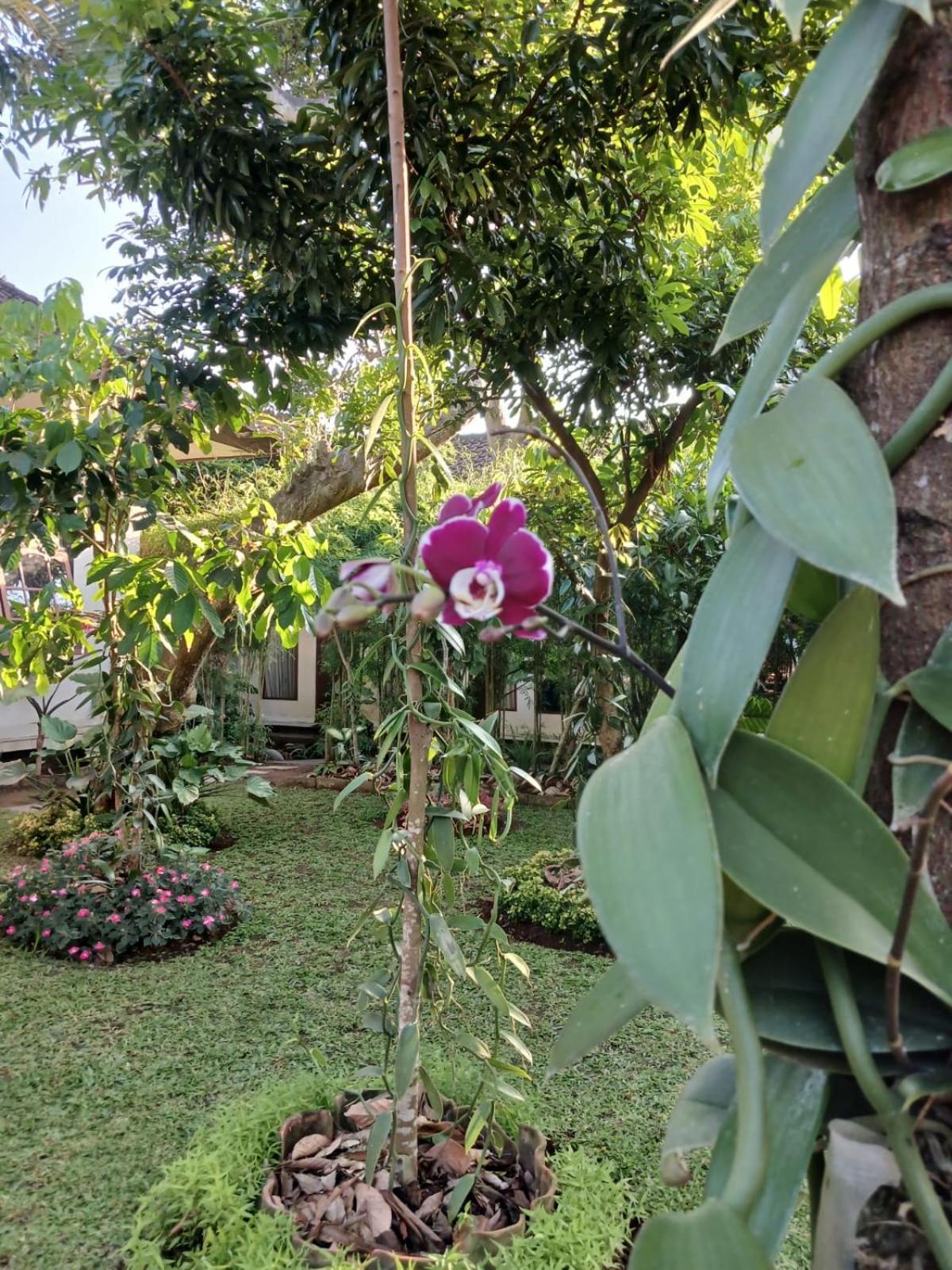 Appartamento Puri Amartha Ubud Esterno foto