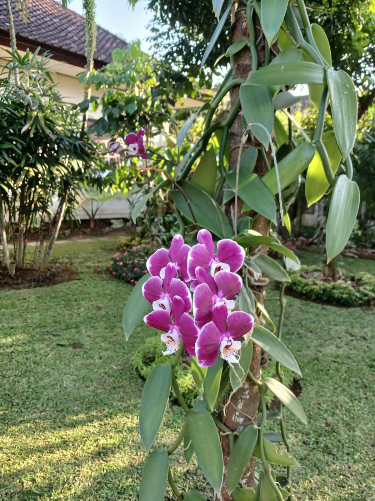 Appartamento Puri Amartha Ubud Esterno foto