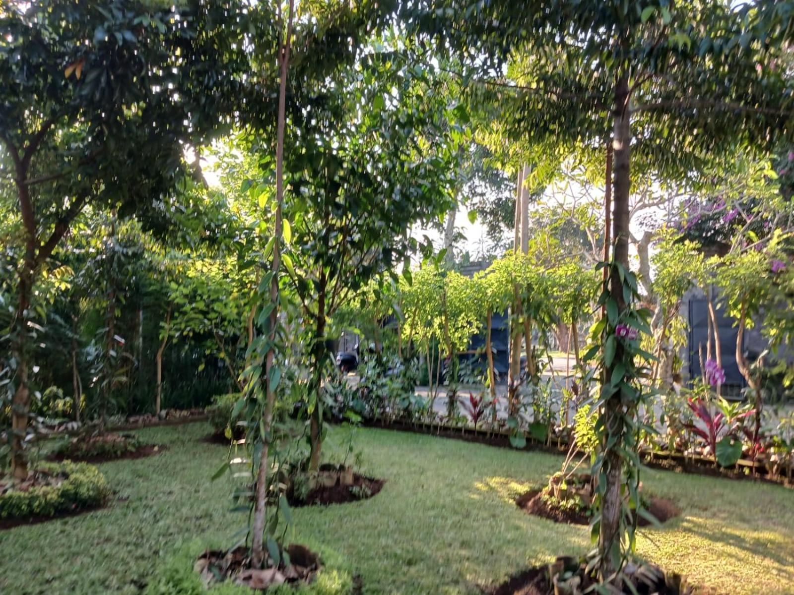 Appartamento Puri Amartha Ubud Esterno foto